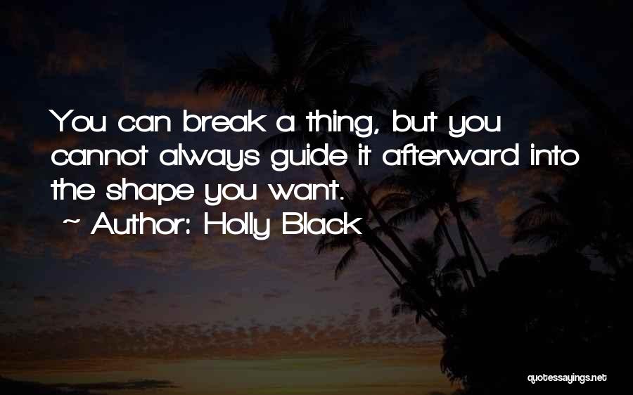 Holly Black Quotes: You Can Break A Thing, But You Cannot Always Guide It Afterward Into The Shape You Want.