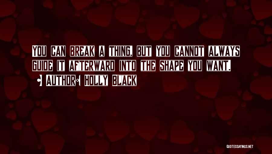 Holly Black Quotes: You Can Break A Thing, But You Cannot Always Guide It Afterward Into The Shape You Want.