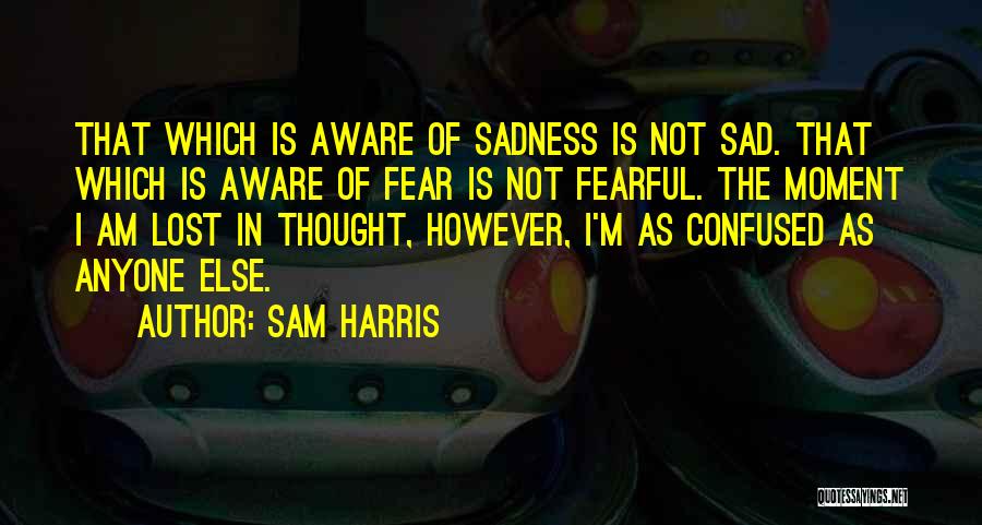 Sam Harris Quotes: That Which Is Aware Of Sadness Is Not Sad. That Which Is Aware Of Fear Is Not Fearful. The Moment