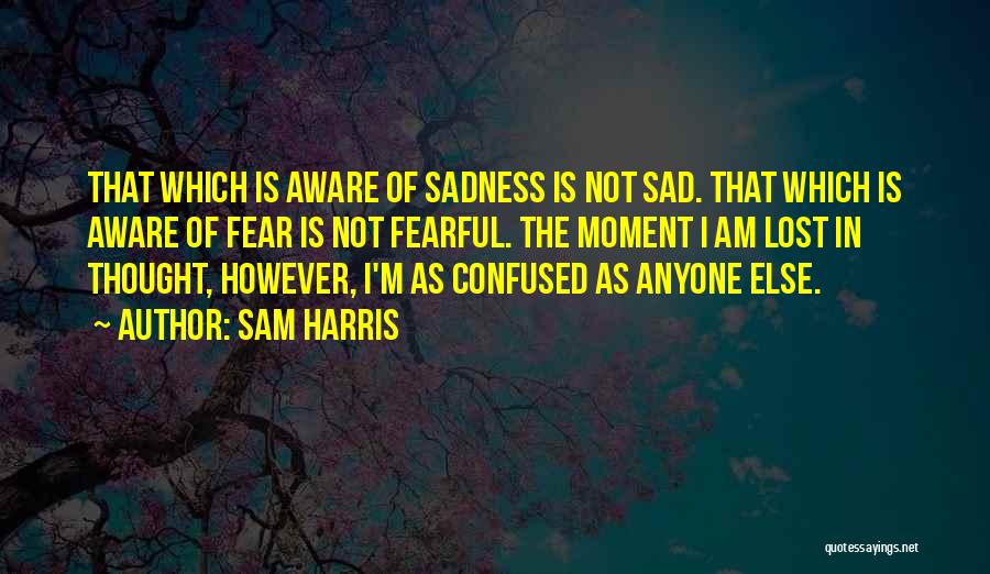 Sam Harris Quotes: That Which Is Aware Of Sadness Is Not Sad. That Which Is Aware Of Fear Is Not Fearful. The Moment