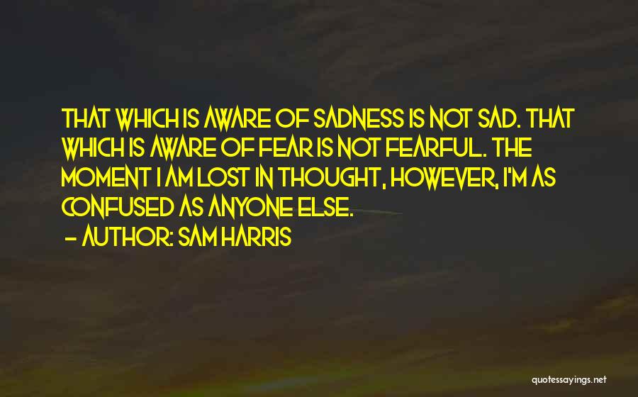 Sam Harris Quotes: That Which Is Aware Of Sadness Is Not Sad. That Which Is Aware Of Fear Is Not Fearful. The Moment