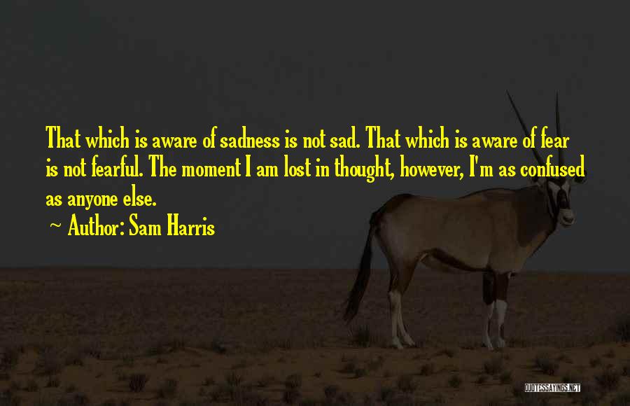 Sam Harris Quotes: That Which Is Aware Of Sadness Is Not Sad. That Which Is Aware Of Fear Is Not Fearful. The Moment