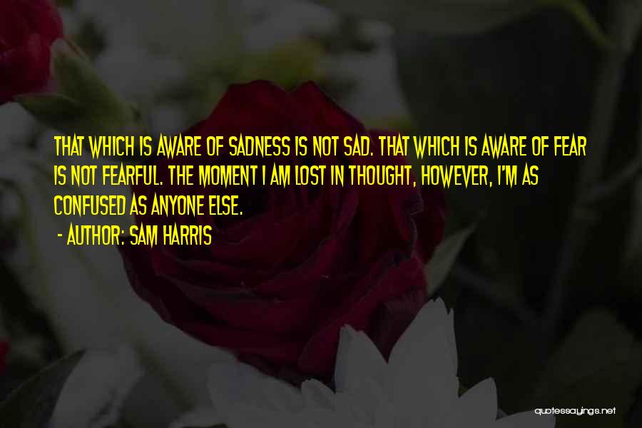 Sam Harris Quotes: That Which Is Aware Of Sadness Is Not Sad. That Which Is Aware Of Fear Is Not Fearful. The Moment