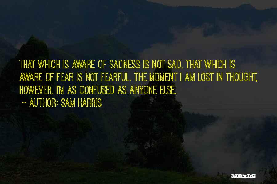 Sam Harris Quotes: That Which Is Aware Of Sadness Is Not Sad. That Which Is Aware Of Fear Is Not Fearful. The Moment