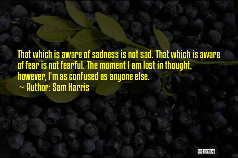 Sam Harris Quotes: That Which Is Aware Of Sadness Is Not Sad. That Which Is Aware Of Fear Is Not Fearful. The Moment