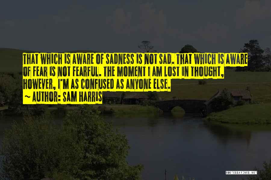 Sam Harris Quotes: That Which Is Aware Of Sadness Is Not Sad. That Which Is Aware Of Fear Is Not Fearful. The Moment