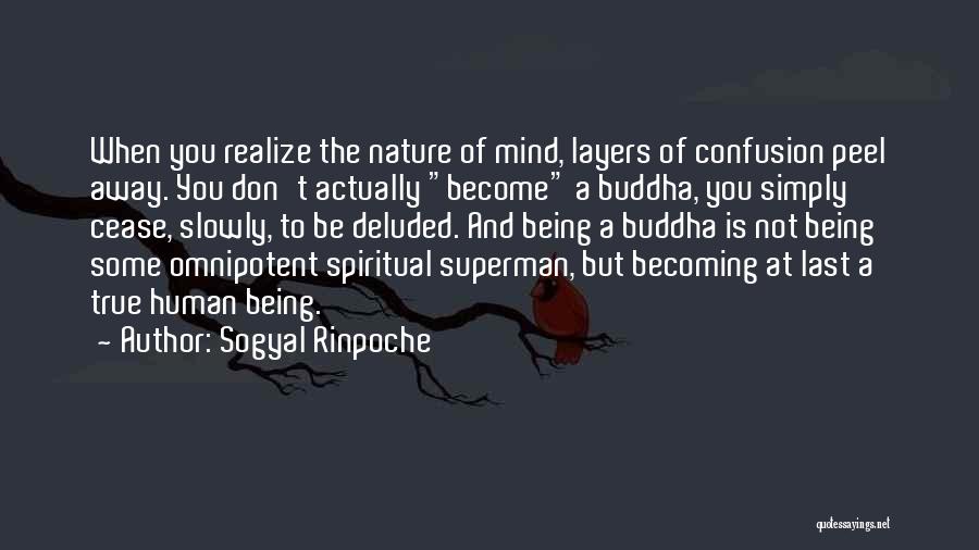 Sogyal Rinpoche Quotes: When You Realize The Nature Of Mind, Layers Of Confusion Peel Away. You Don't Actually Become A Buddha, You Simply