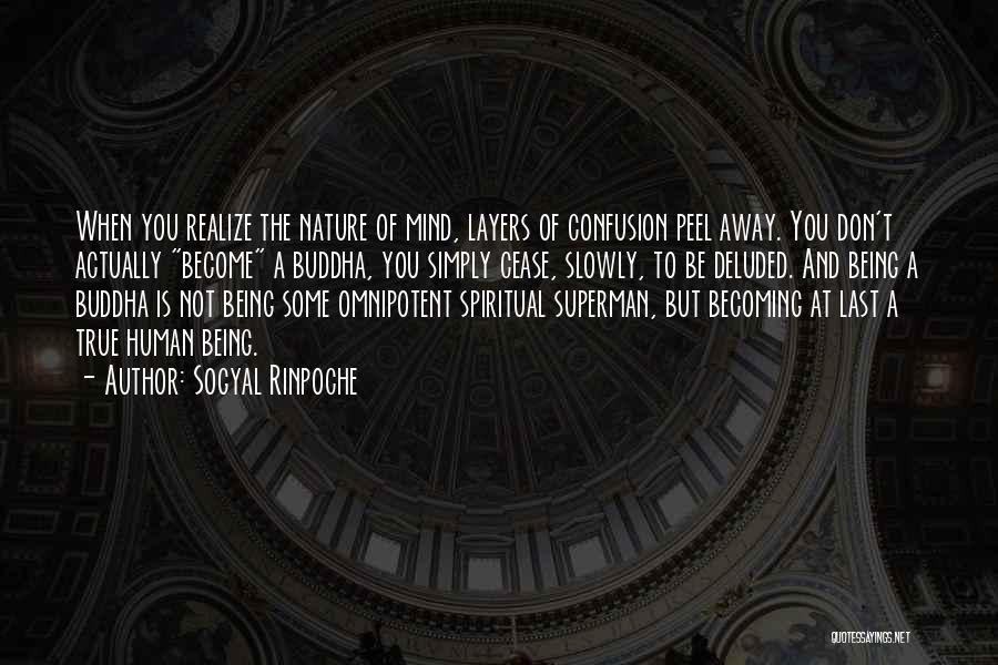 Sogyal Rinpoche Quotes: When You Realize The Nature Of Mind, Layers Of Confusion Peel Away. You Don't Actually Become A Buddha, You Simply