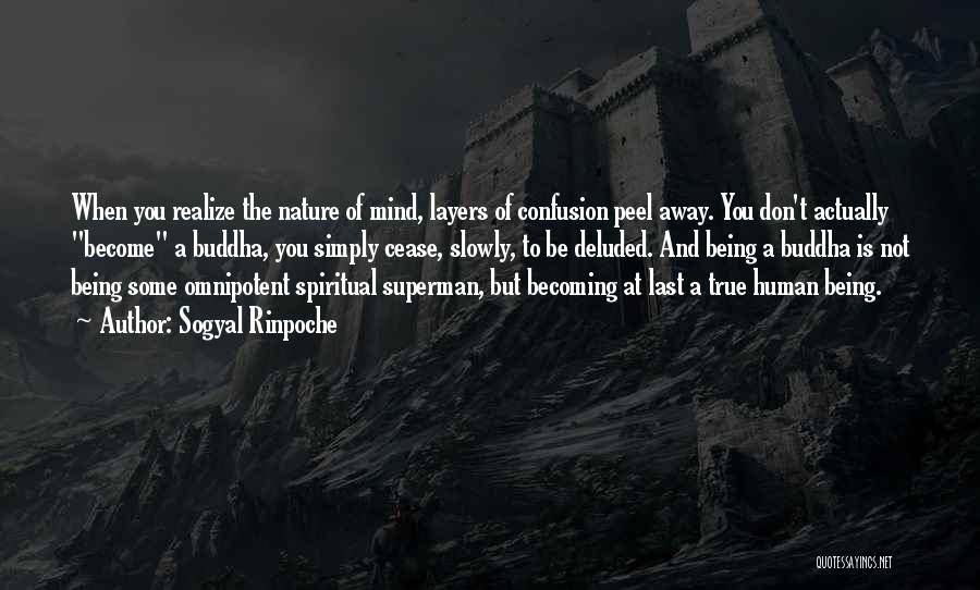 Sogyal Rinpoche Quotes: When You Realize The Nature Of Mind, Layers Of Confusion Peel Away. You Don't Actually Become A Buddha, You Simply