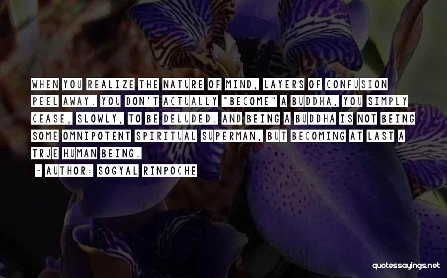 Sogyal Rinpoche Quotes: When You Realize The Nature Of Mind, Layers Of Confusion Peel Away. You Don't Actually Become A Buddha, You Simply