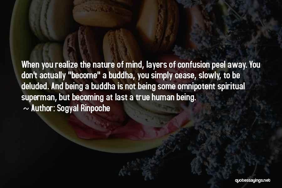 Sogyal Rinpoche Quotes: When You Realize The Nature Of Mind, Layers Of Confusion Peel Away. You Don't Actually Become A Buddha, You Simply