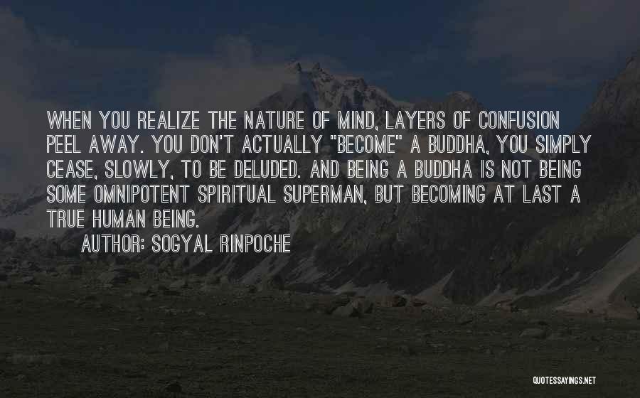 Sogyal Rinpoche Quotes: When You Realize The Nature Of Mind, Layers Of Confusion Peel Away. You Don't Actually Become A Buddha, You Simply