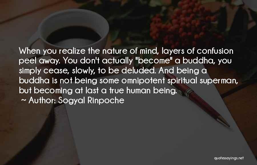 Sogyal Rinpoche Quotes: When You Realize The Nature Of Mind, Layers Of Confusion Peel Away. You Don't Actually Become A Buddha, You Simply