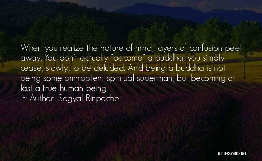 Sogyal Rinpoche Quotes: When You Realize The Nature Of Mind, Layers Of Confusion Peel Away. You Don't Actually Become A Buddha, You Simply