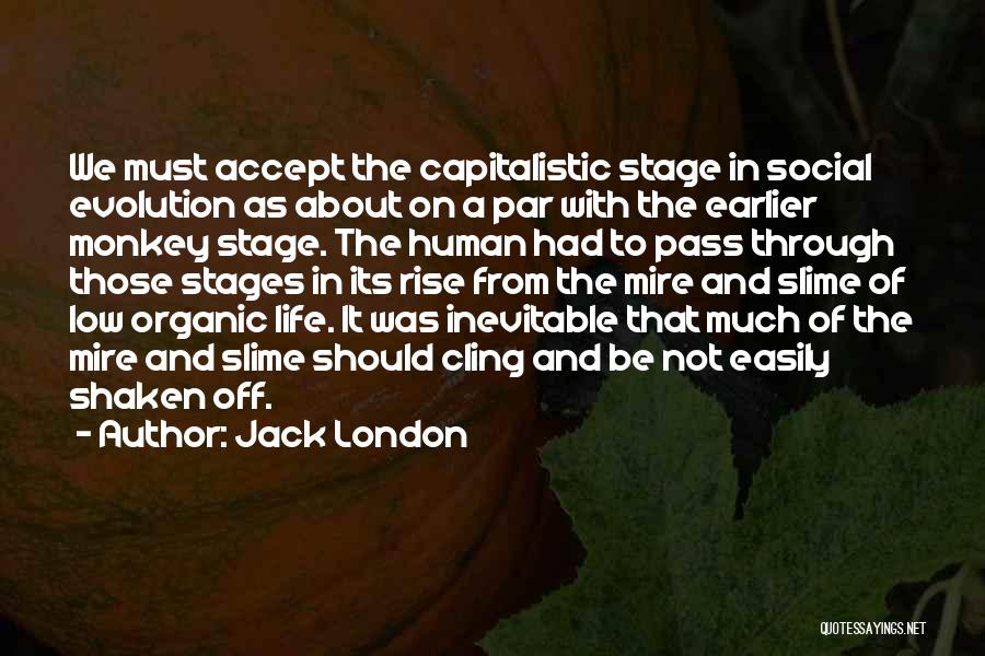 Jack London Quotes: We Must Accept The Capitalistic Stage In Social Evolution As About On A Par With The Earlier Monkey Stage. The
