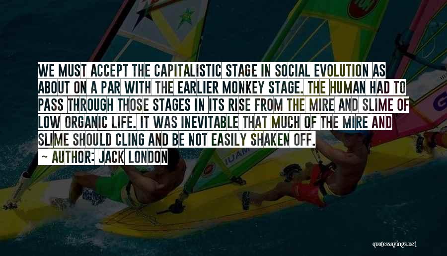 Jack London Quotes: We Must Accept The Capitalistic Stage In Social Evolution As About On A Par With The Earlier Monkey Stage. The