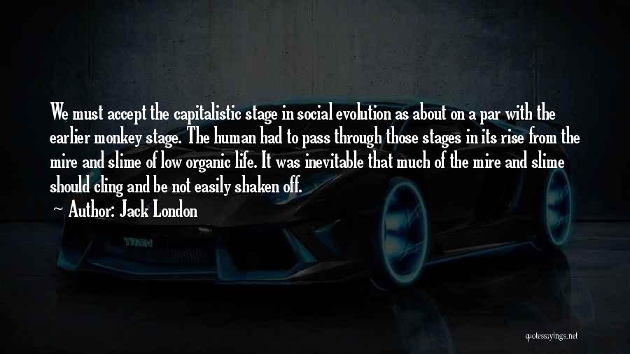 Jack London Quotes: We Must Accept The Capitalistic Stage In Social Evolution As About On A Par With The Earlier Monkey Stage. The