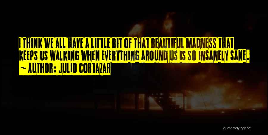 Julio Cortazar Quotes: I Think We All Have A Little Bit Of That Beautiful Madness That Keeps Us Walking When Everything Around Us