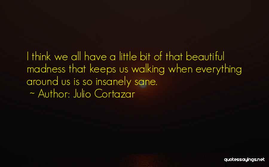 Julio Cortazar Quotes: I Think We All Have A Little Bit Of That Beautiful Madness That Keeps Us Walking When Everything Around Us