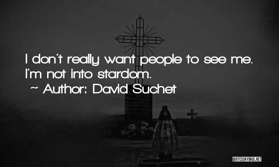 David Suchet Quotes: I Don't Really Want People To See Me. I'm Not Into Stardom.