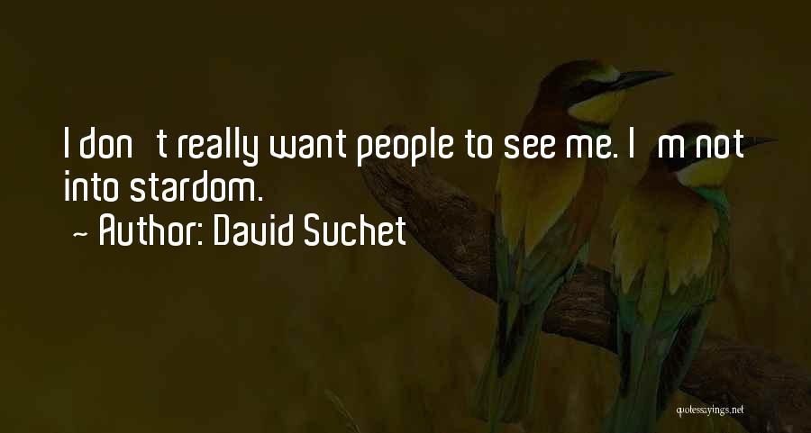 David Suchet Quotes: I Don't Really Want People To See Me. I'm Not Into Stardom.
