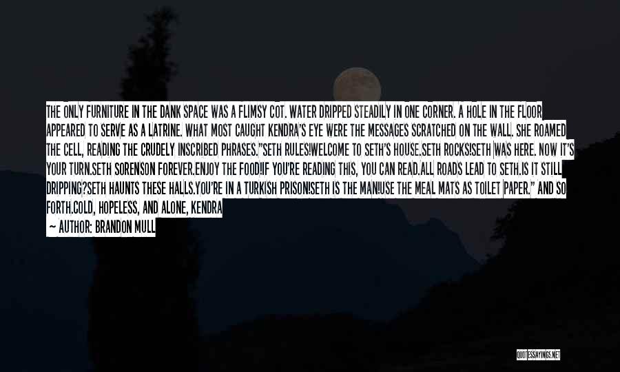 Brandon Mull Quotes: The Only Furniture In The Dank Space Was A Flimsy Cot. Water Dripped Steadily In One Corner. A Hole In