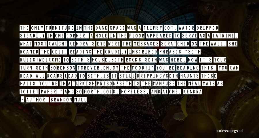 Brandon Mull Quotes: The Only Furniture In The Dank Space Was A Flimsy Cot. Water Dripped Steadily In One Corner. A Hole In