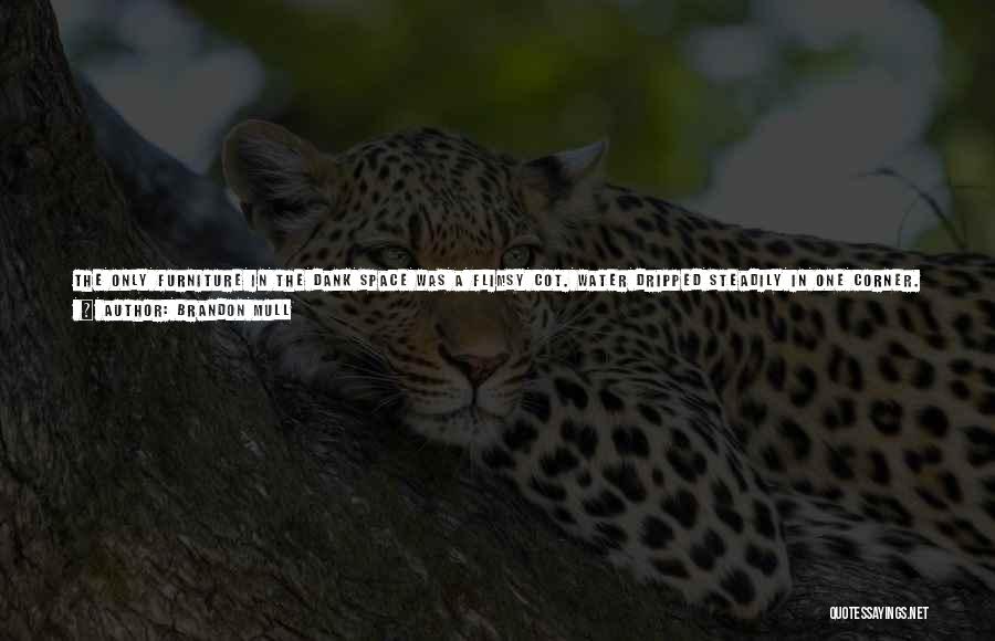 Brandon Mull Quotes: The Only Furniture In The Dank Space Was A Flimsy Cot. Water Dripped Steadily In One Corner. A Hole In