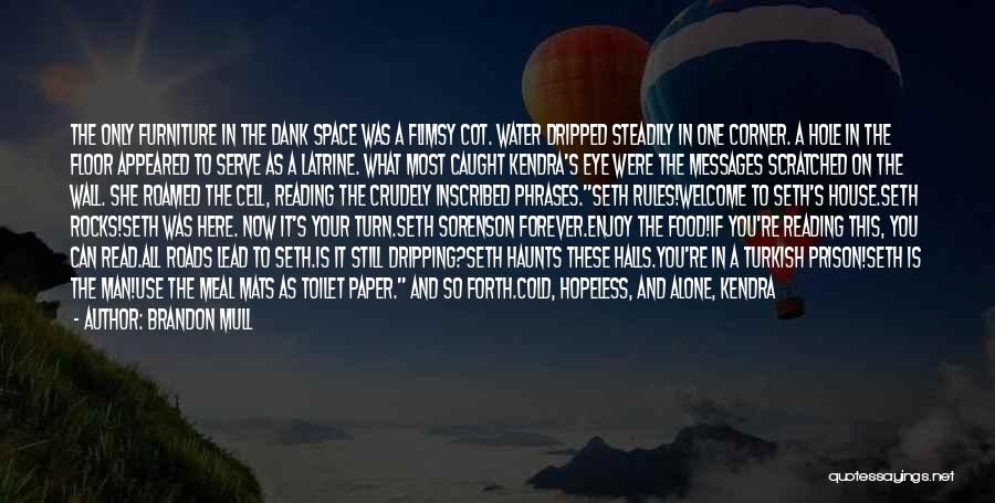 Brandon Mull Quotes: The Only Furniture In The Dank Space Was A Flimsy Cot. Water Dripped Steadily In One Corner. A Hole In