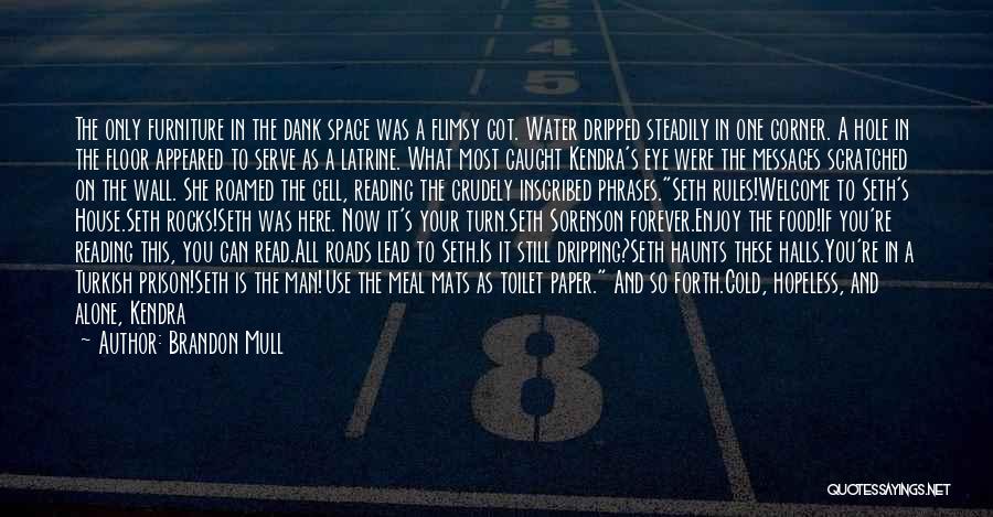 Brandon Mull Quotes: The Only Furniture In The Dank Space Was A Flimsy Cot. Water Dripped Steadily In One Corner. A Hole In