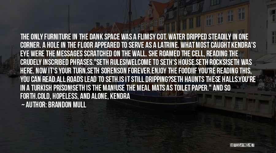 Brandon Mull Quotes: The Only Furniture In The Dank Space Was A Flimsy Cot. Water Dripped Steadily In One Corner. A Hole In