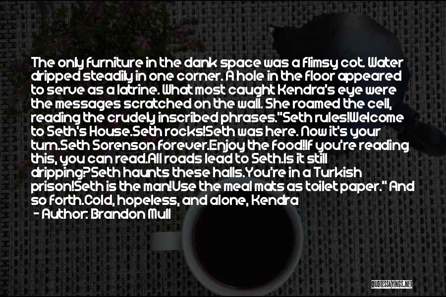 Brandon Mull Quotes: The Only Furniture In The Dank Space Was A Flimsy Cot. Water Dripped Steadily In One Corner. A Hole In