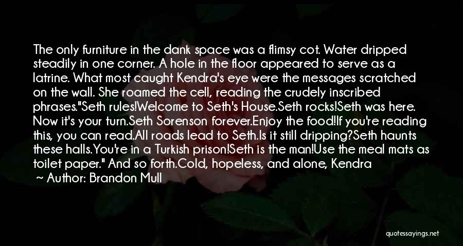 Brandon Mull Quotes: The Only Furniture In The Dank Space Was A Flimsy Cot. Water Dripped Steadily In One Corner. A Hole In