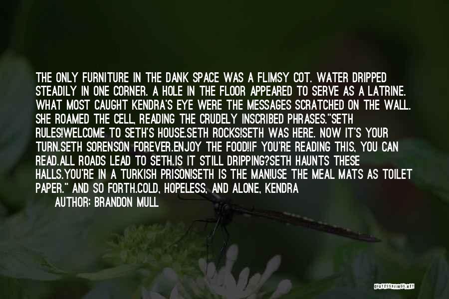 Brandon Mull Quotes: The Only Furniture In The Dank Space Was A Flimsy Cot. Water Dripped Steadily In One Corner. A Hole In