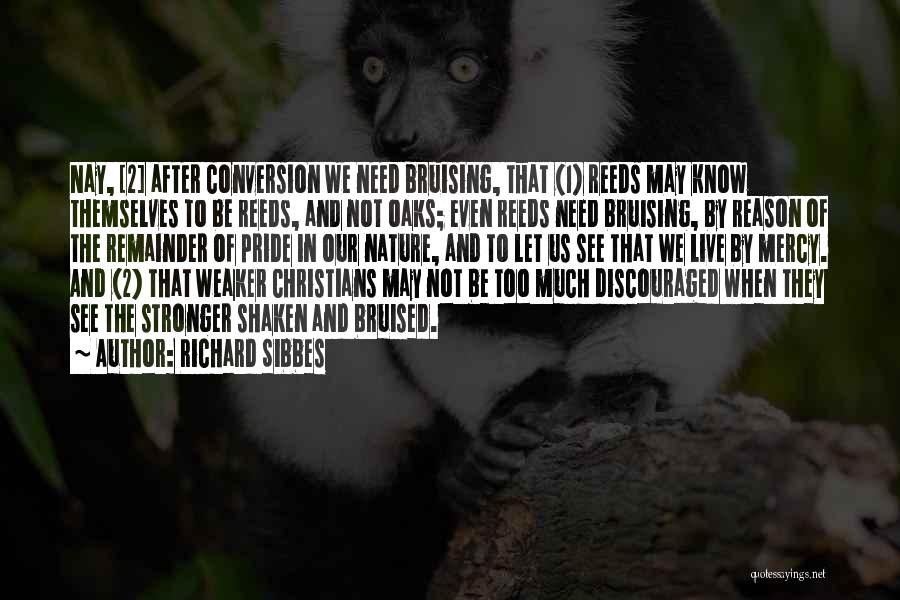 Richard Sibbes Quotes: Nay, [2] After Conversion We Need Bruising, That (1) Reeds May Know Themselves To Be Reeds, And Not Oaks; Even