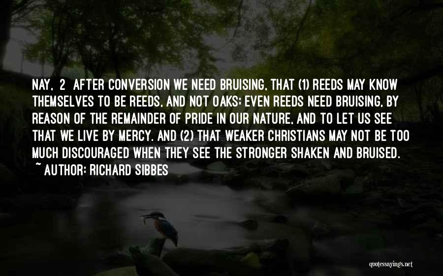 Richard Sibbes Quotes: Nay, [2] After Conversion We Need Bruising, That (1) Reeds May Know Themselves To Be Reeds, And Not Oaks; Even