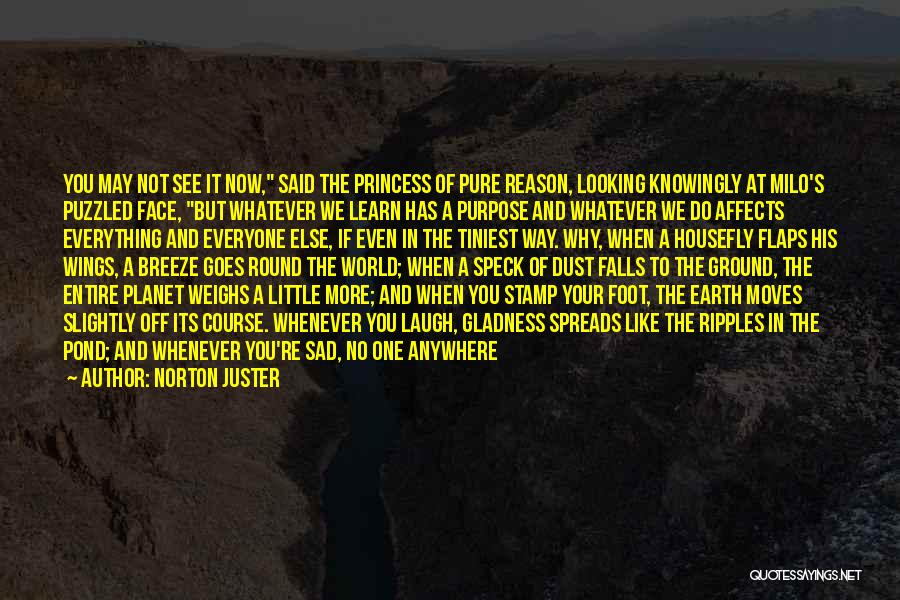 Norton Juster Quotes: You May Not See It Now, Said The Princess Of Pure Reason, Looking Knowingly At Milo's Puzzled Face, But Whatever