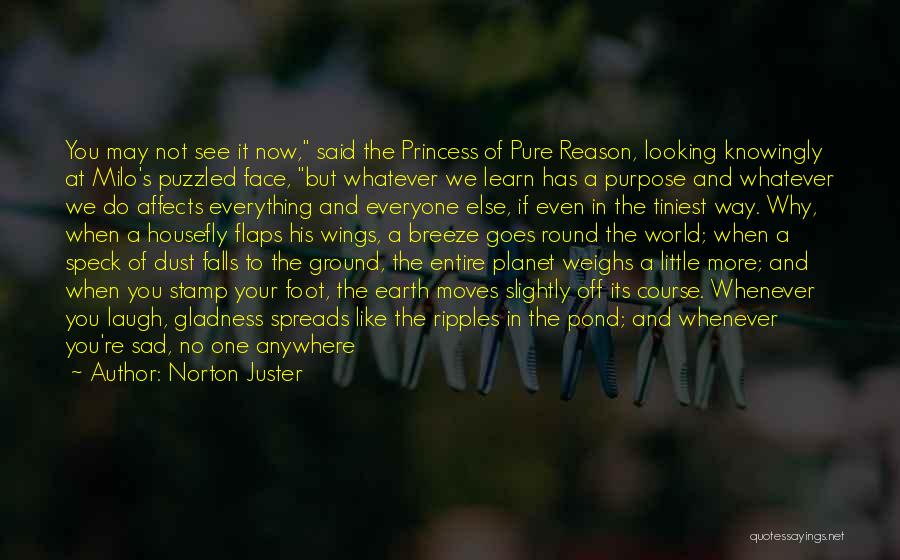 Norton Juster Quotes: You May Not See It Now, Said The Princess Of Pure Reason, Looking Knowingly At Milo's Puzzled Face, But Whatever