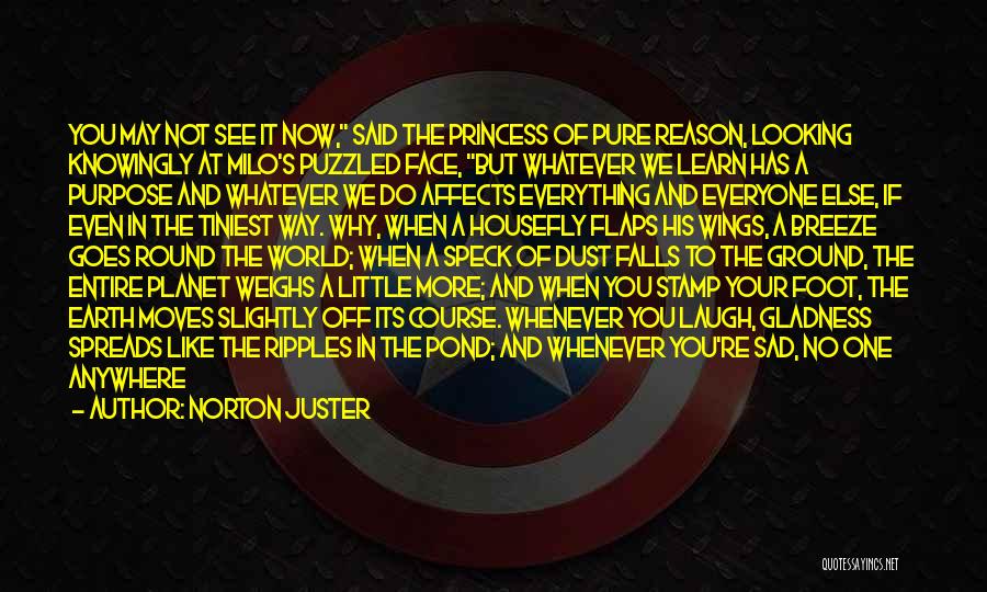 Norton Juster Quotes: You May Not See It Now, Said The Princess Of Pure Reason, Looking Knowingly At Milo's Puzzled Face, But Whatever