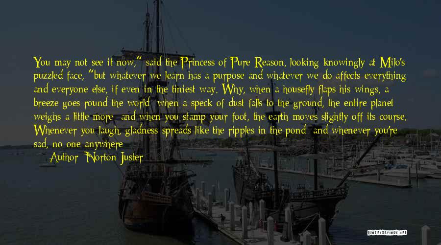 Norton Juster Quotes: You May Not See It Now, Said The Princess Of Pure Reason, Looking Knowingly At Milo's Puzzled Face, But Whatever