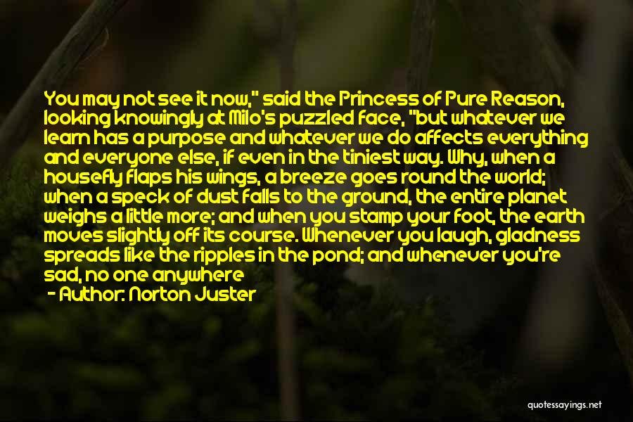 Norton Juster Quotes: You May Not See It Now, Said The Princess Of Pure Reason, Looking Knowingly At Milo's Puzzled Face, But Whatever