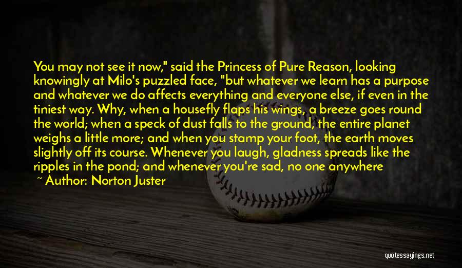 Norton Juster Quotes: You May Not See It Now, Said The Princess Of Pure Reason, Looking Knowingly At Milo's Puzzled Face, But Whatever