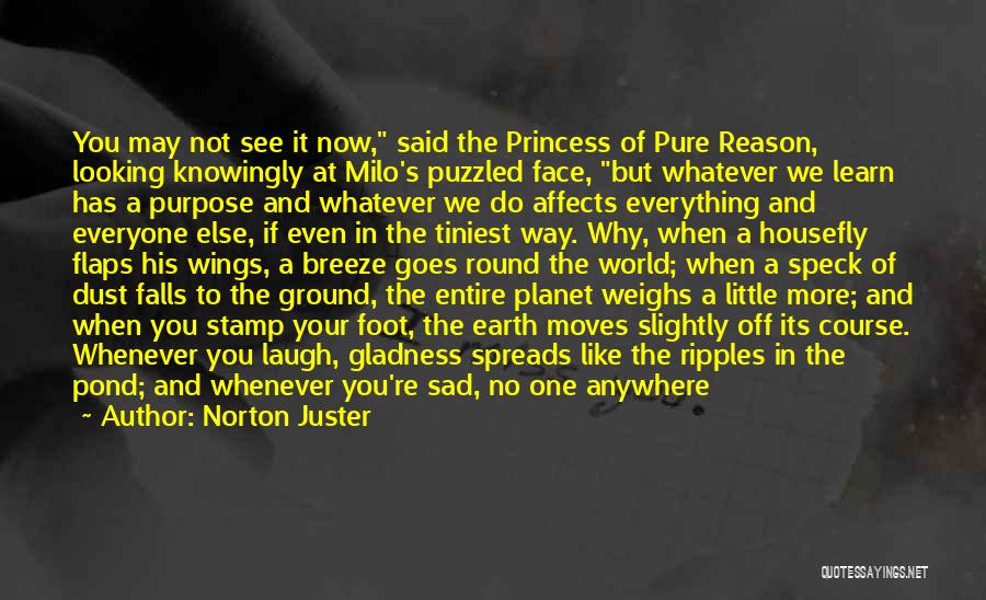 Norton Juster Quotes: You May Not See It Now, Said The Princess Of Pure Reason, Looking Knowingly At Milo's Puzzled Face, But Whatever