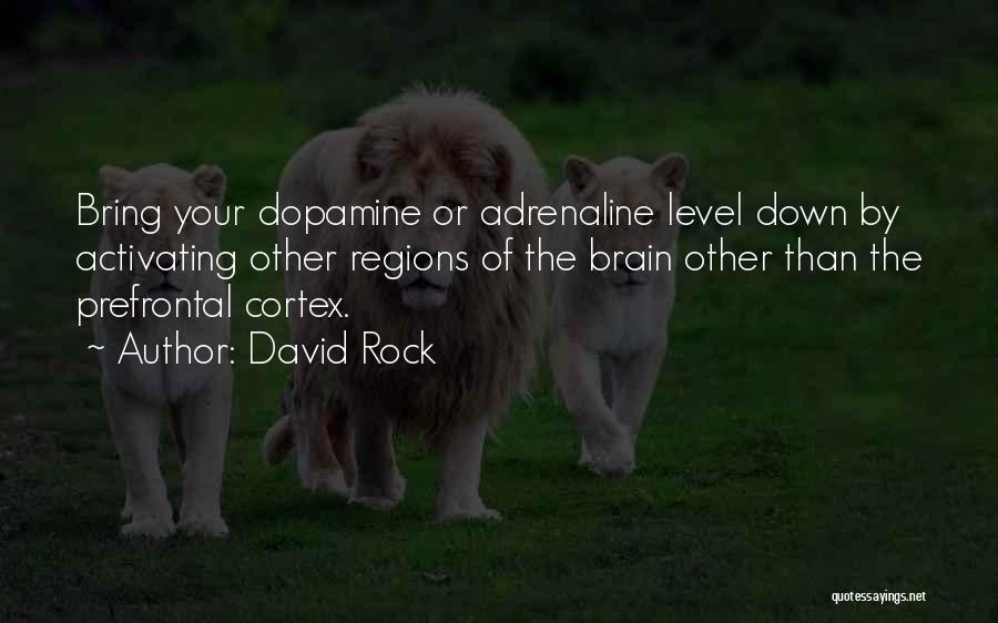 David Rock Quotes: Bring Your Dopamine Or Adrenaline Level Down By Activating Other Regions Of The Brain Other Than The Prefrontal Cortex.