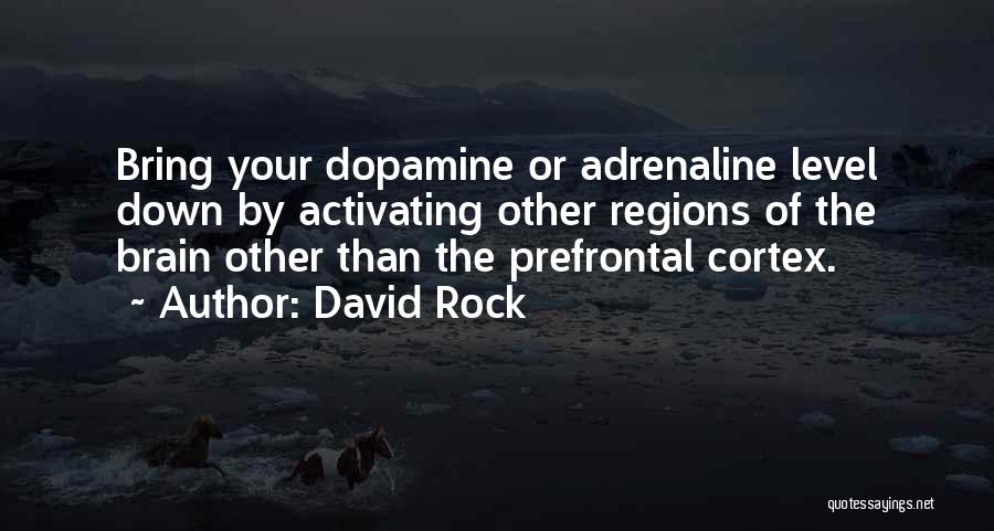 David Rock Quotes: Bring Your Dopamine Or Adrenaline Level Down By Activating Other Regions Of The Brain Other Than The Prefrontal Cortex.