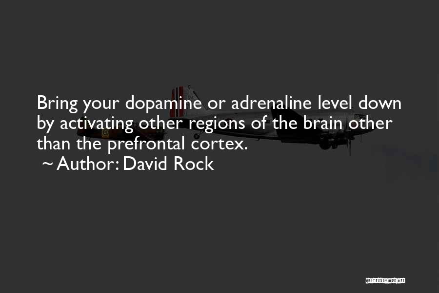 David Rock Quotes: Bring Your Dopamine Or Adrenaline Level Down By Activating Other Regions Of The Brain Other Than The Prefrontal Cortex.