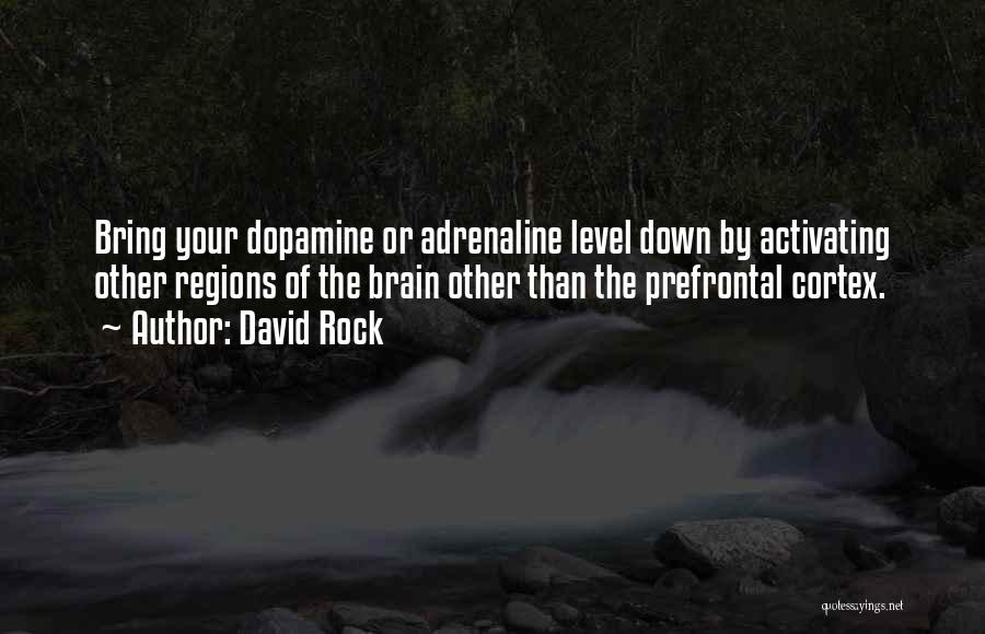 David Rock Quotes: Bring Your Dopamine Or Adrenaline Level Down By Activating Other Regions Of The Brain Other Than The Prefrontal Cortex.