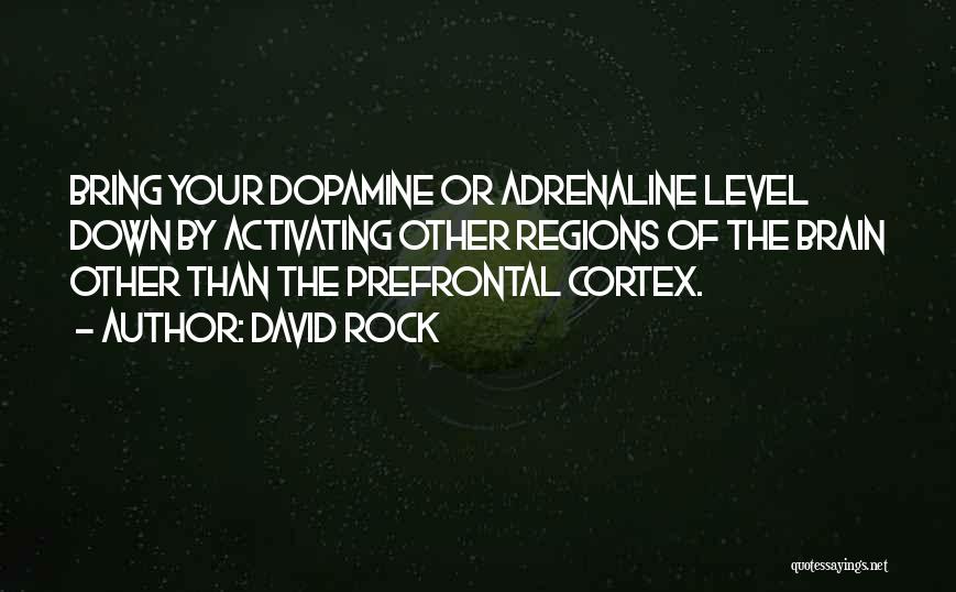 David Rock Quotes: Bring Your Dopamine Or Adrenaline Level Down By Activating Other Regions Of The Brain Other Than The Prefrontal Cortex.