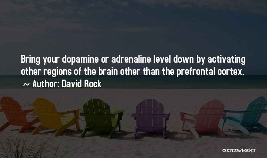 David Rock Quotes: Bring Your Dopamine Or Adrenaline Level Down By Activating Other Regions Of The Brain Other Than The Prefrontal Cortex.