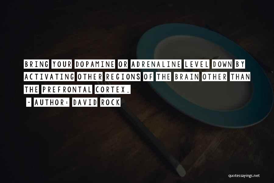 David Rock Quotes: Bring Your Dopamine Or Adrenaline Level Down By Activating Other Regions Of The Brain Other Than The Prefrontal Cortex.